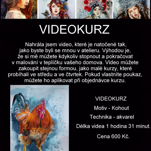 Videokurz malování - Kohout