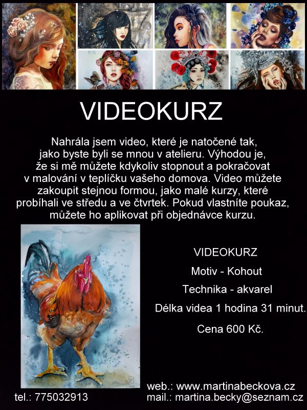 Kohout