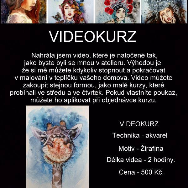 Videokurz malování - Žirafína