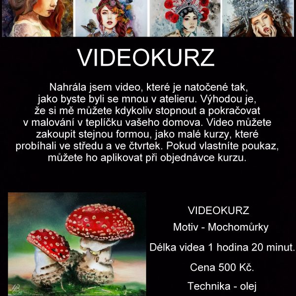 Videokurz malování - Muchomůrky