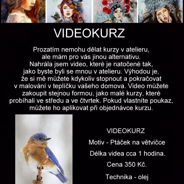 Videokurz malování - Ptáček na větvičce