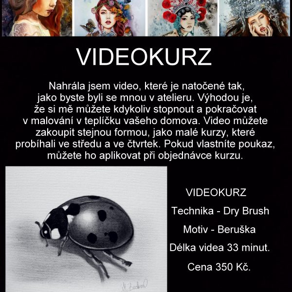 Videokurz malování - Beruška