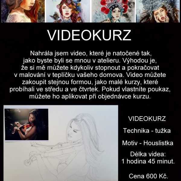 Videokurz malování - Houslistka