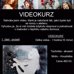 Houslistka - 1. část - pozadí