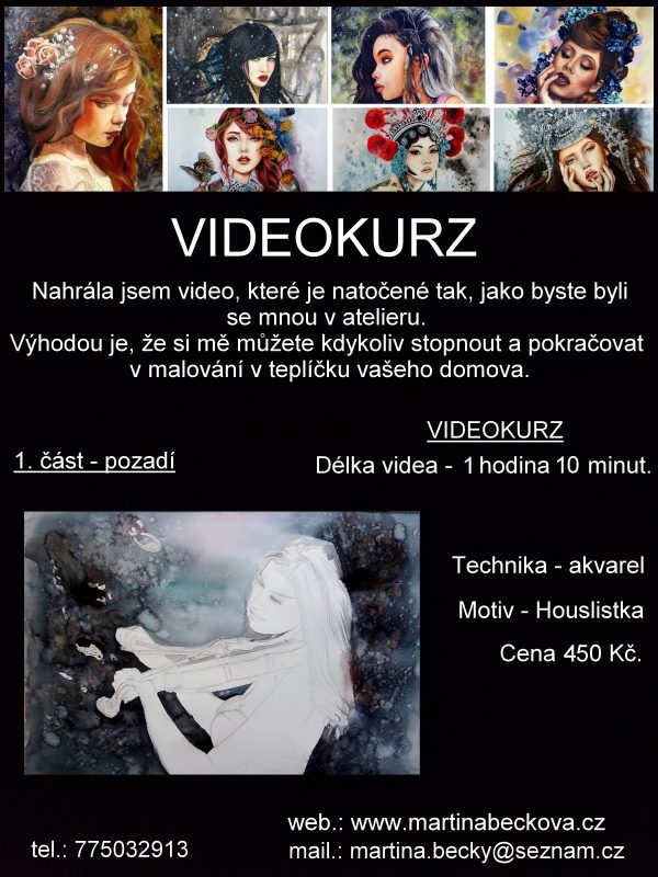 Houslistka - 1. část - pozadí