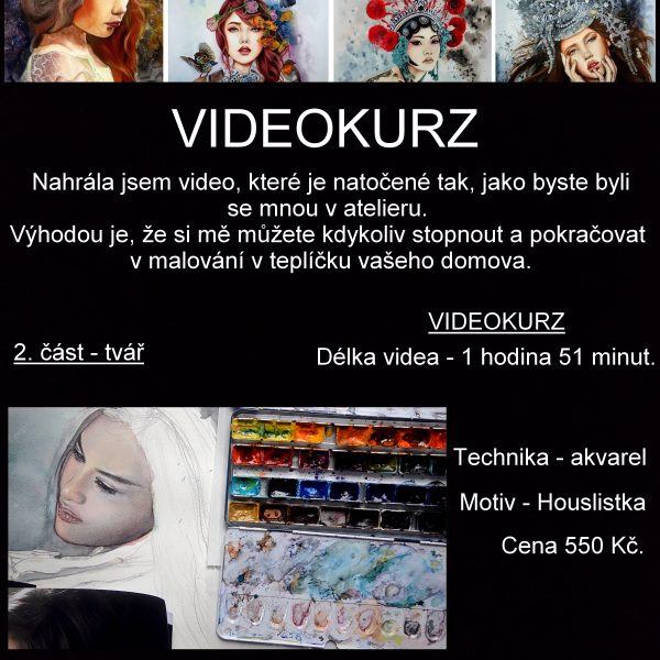 Videokurz malování - Houslistka