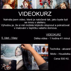 Houslistka - 5. část - vlasy