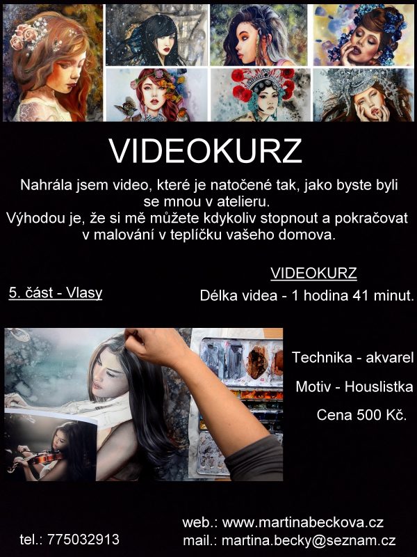 Houslistka - 5. část - vlasy
