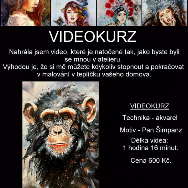 Videokurz malování  - - - Pan Šimpanz
